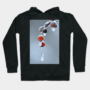 Iced berries Hoodie